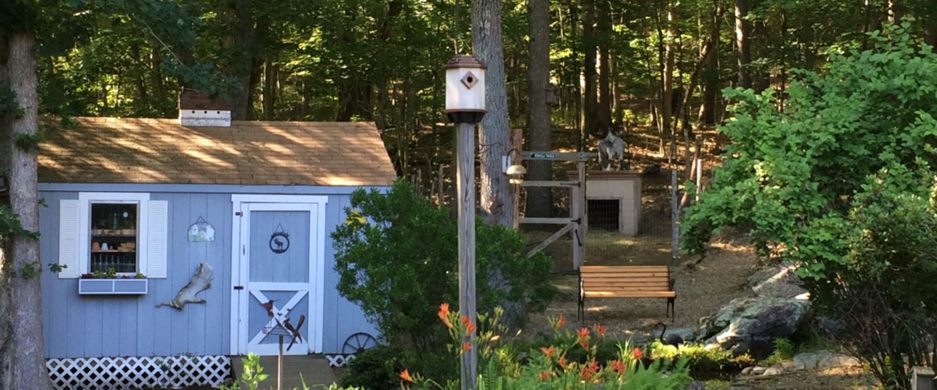 Creating a wildlife-friendly backyard: Tips and ideas for landscaping, decks, and roofing