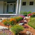 The Beauty and Benefits of Native Plants for Your Outdoor Living Space