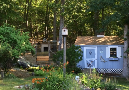 Creating a wildlife-friendly backyard: Tips and ideas for landscaping, decks, and roofing